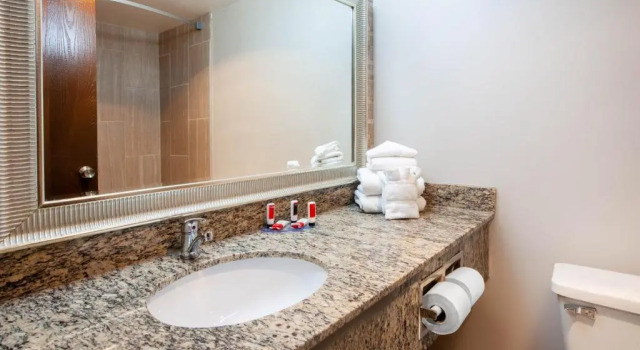 Номер Standard Wingate by Wyndham Detroit Metro Airport