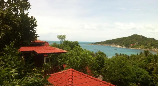 Бунгало Standard Venus Resort