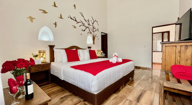 Двухместный номер Standard Hotel Boutique & Spa - VDL Colonial