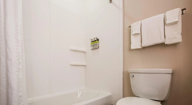 Двухместный номер Standard Holiday Inn Express & Suites Detroit - Farmington Hills by IHG