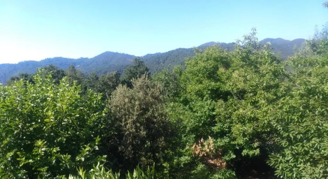 Les Jardins d'Arbousse, Prenota Hotel Saint-Jean-du-Gard Cevenne