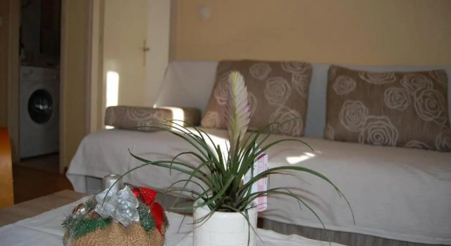 Апартаменты Apartman Bandić
