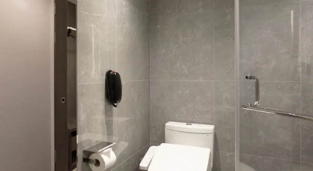 Трёхместный номер Executive The Tango Hotel Taipei Linsen