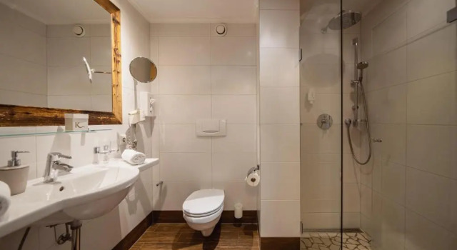 Двухместный номер Standard с видом на озеро Hotel Karlwirt