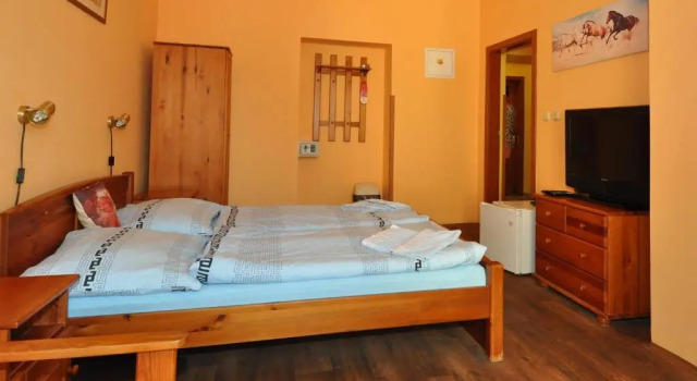 Двухместный номер Standard Hotel U Radnice