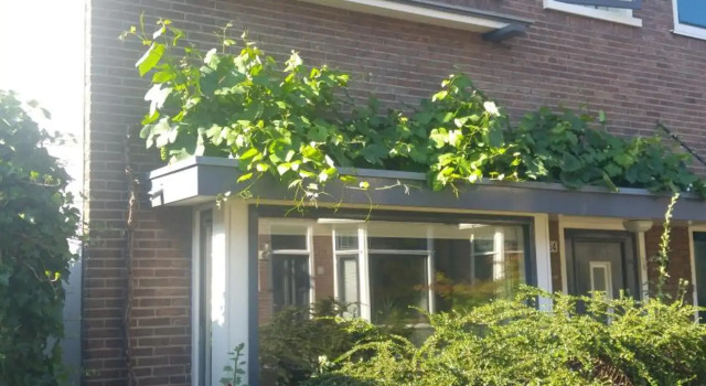 Sfeervolle woning dichtbij centrum Deventer, Buchen Sie Hotel Deventer Salland