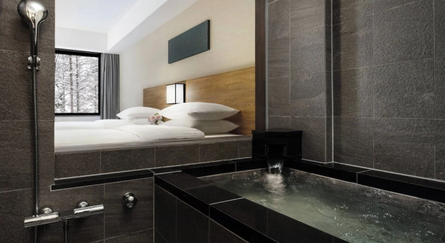 Двухместный номер Dog Friendly Courtyard by Marriott Hakuba