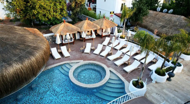 Люкс Pinehill Hotel & Suites