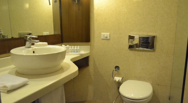 Номер Deluxe ASHOK VILLA