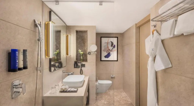 Двухместный номер Standard Novotel Mumbai International Airport