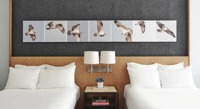 Двухместный номер Deluxe 21c Museum Hotel Louisville