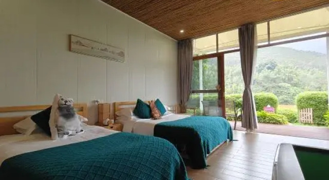 Номер Standard S&N Phoenix Comfort Villa