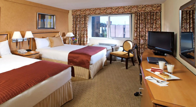 Двухместный номер Standard The Skyline Hotel