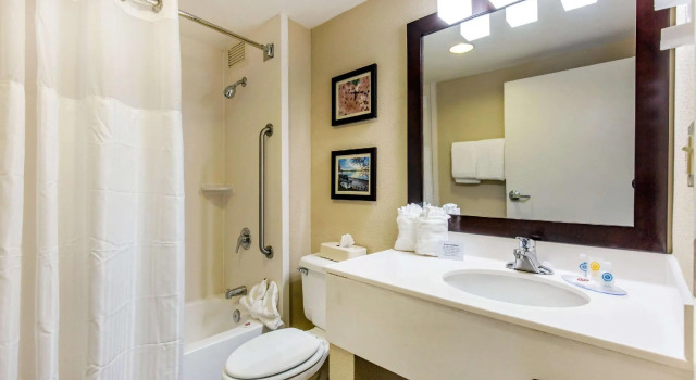 Четырёхместный номер Standard Comfort Inn College Park North