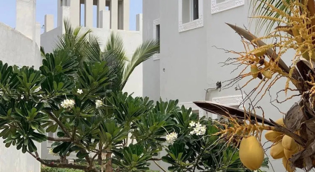 Двухместный номер Comfort с видом на сад Life Resort St.Thomas Royal Palm