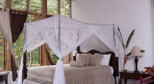 Люкс Superior Forres Park Resort & Spa