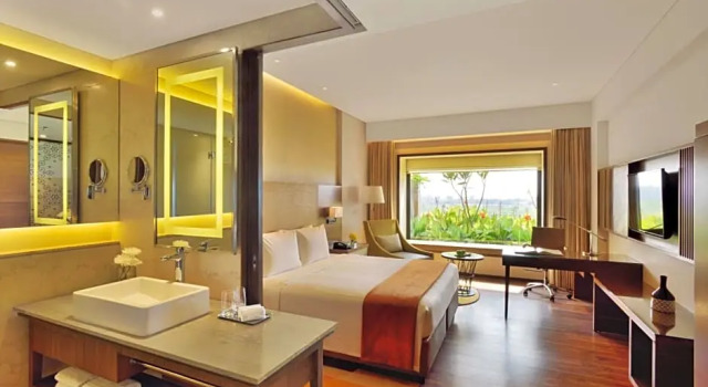 Номер Deluxe с видом на город Courtyard by Marriott Raipur