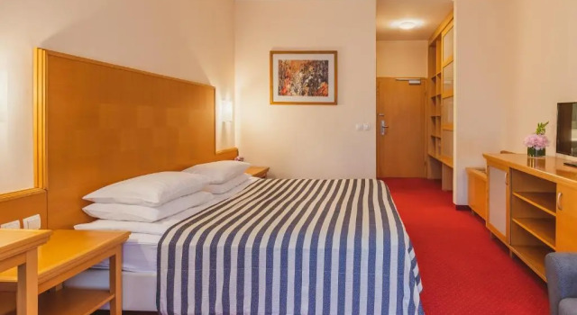 Двухместный номер Ramada Hotel & Suites Kranjska Gora