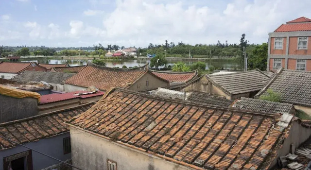 Horseshoe Crab Cottage - Hostel, Book Hostel Hupu Village 