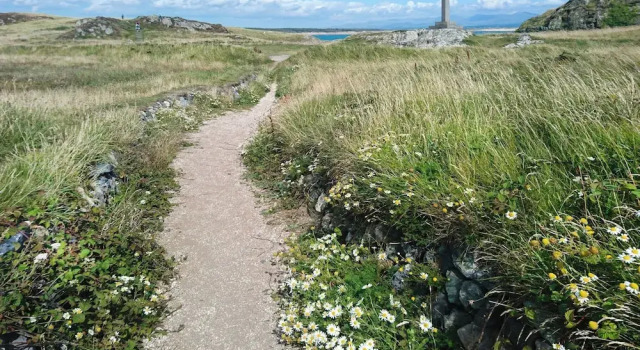 Caeau Gwynion Farm, Book Landbrugsophold Dwyran Anglesey