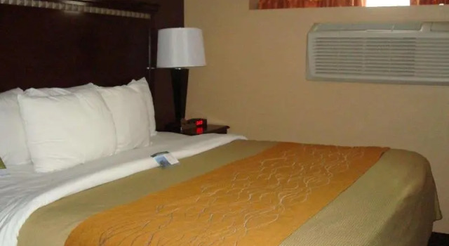 Номер Deluxe Travelodge by Wyndham Ozone Park