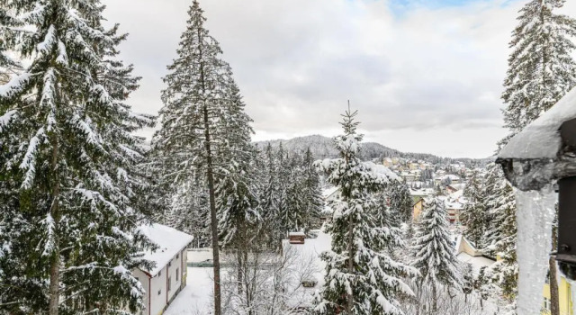 Номер Standard Pensiunea Hilltop