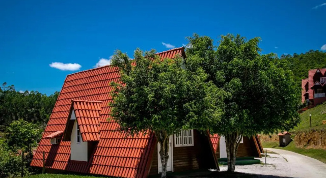 Номер Standard China Park Eco Resort