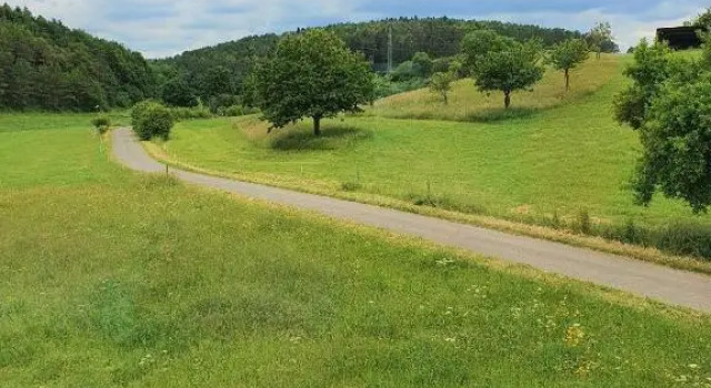 Ferienhaus-Naturblick, Réserver Hôtel Berndorf Rhénanie-Palatinat