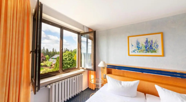 Номер Deluxe Hotel Forstmeister