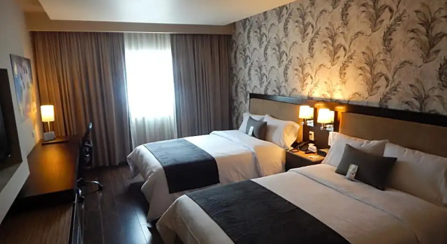 Номер Executive Hotel Plaza Diana