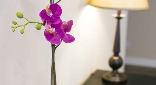 Номер Standard Los Angeles Hollywood Apartments
