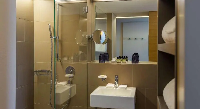 Двухместный номер Deluxe Pullman Basel Europe