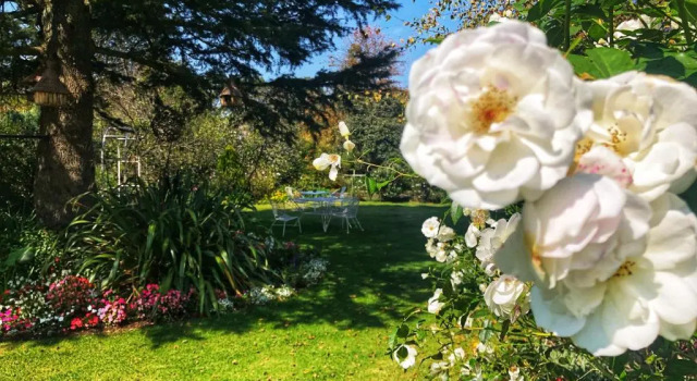 Green Lantern Inn, Buchen Sie Hotel Van Reenen Harrismith