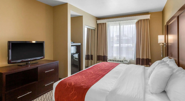Люкс c 1 комнатой Comfort Suites Seaford