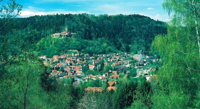 Одноместный номер Comfort Hochwald Hotel & Apartment