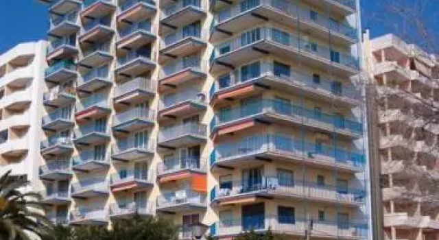 Palmavera