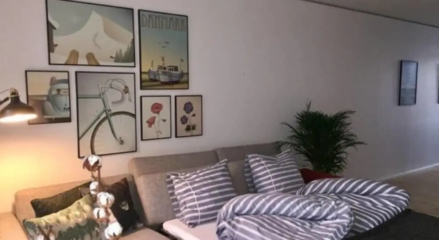 Апартаменты Deluxe с балконом Central & New Nordic CPH Apartment