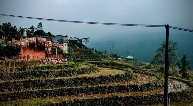 Sapa Hmong Bungalow Homestay, Rezervovat Hotel Sapa Lao Cai