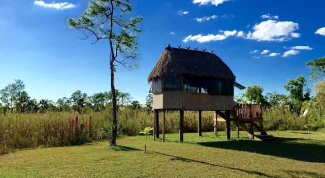 Бунгало Everglades Chickee Cottages - Ochopee