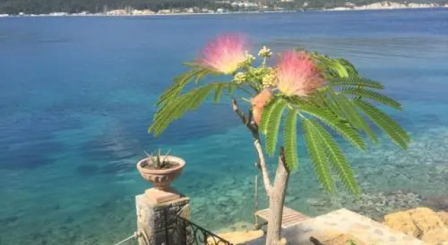 Aparthotel 4 Stars Samos, Book Hotel Samos Northern Aegean Islands