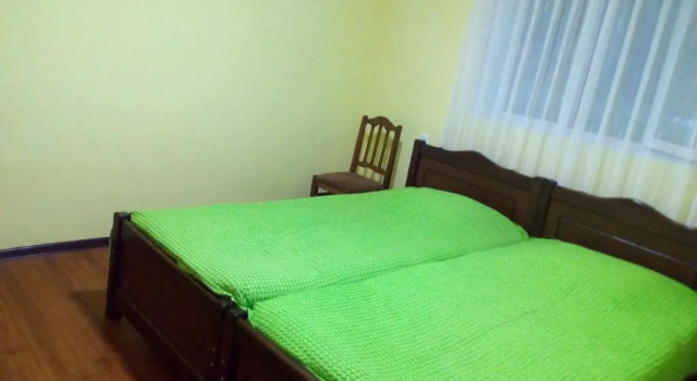 Двухместный номер Standard Borjomi Makvalas Guest House