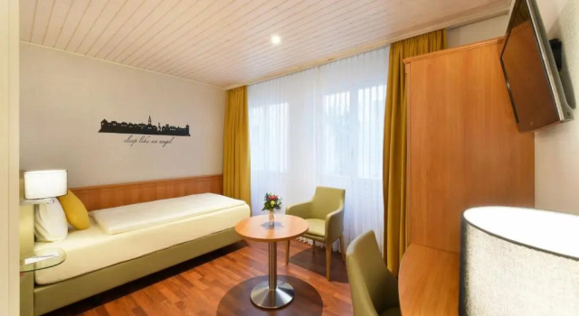 Одноместный номер Standard Hotel Engel