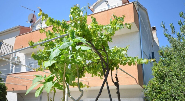 Apartment and Rooms Ive