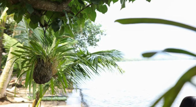 Двухместный номер Standard с видом на море Local Beach Phu Quoc