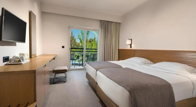 Двухместный номер Premium Platanista Hotel