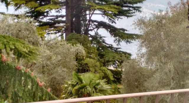 Апартаменты Gardens House