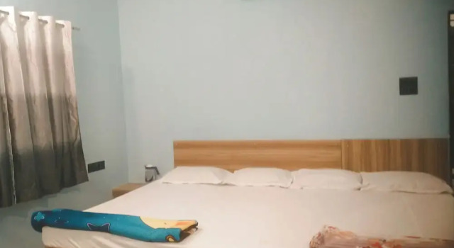 Номер Deluxe Shreeram guest house