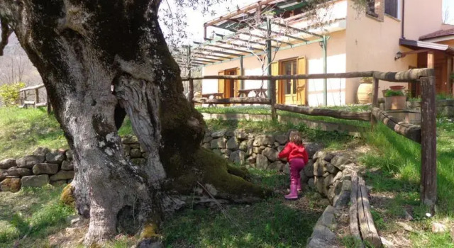 IL Giardino, Book Hotel San Mauro La Bruca 