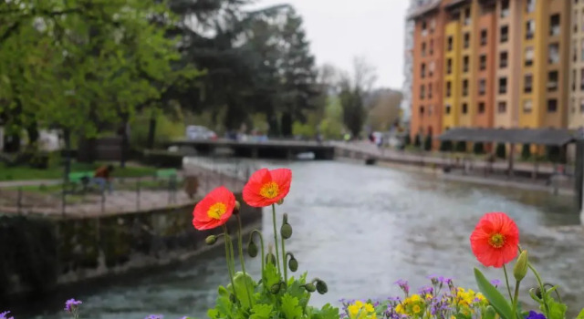 Апартаменты Le Coeur de Ville : splendide T2 plein centre