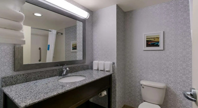 Четырёхместный номер Standard Hampton Inn & Suites Wilmington Christiana
